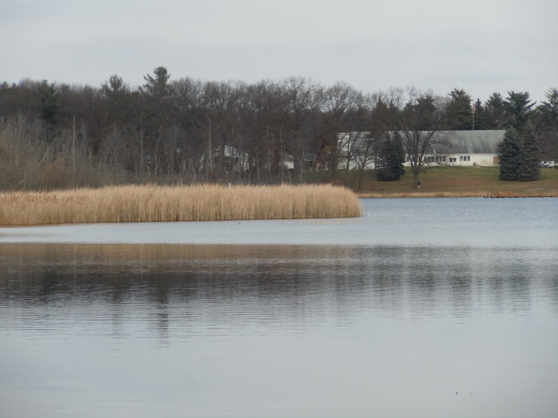 REED LAKE WHITE LAKE TOWNSHIP MICH